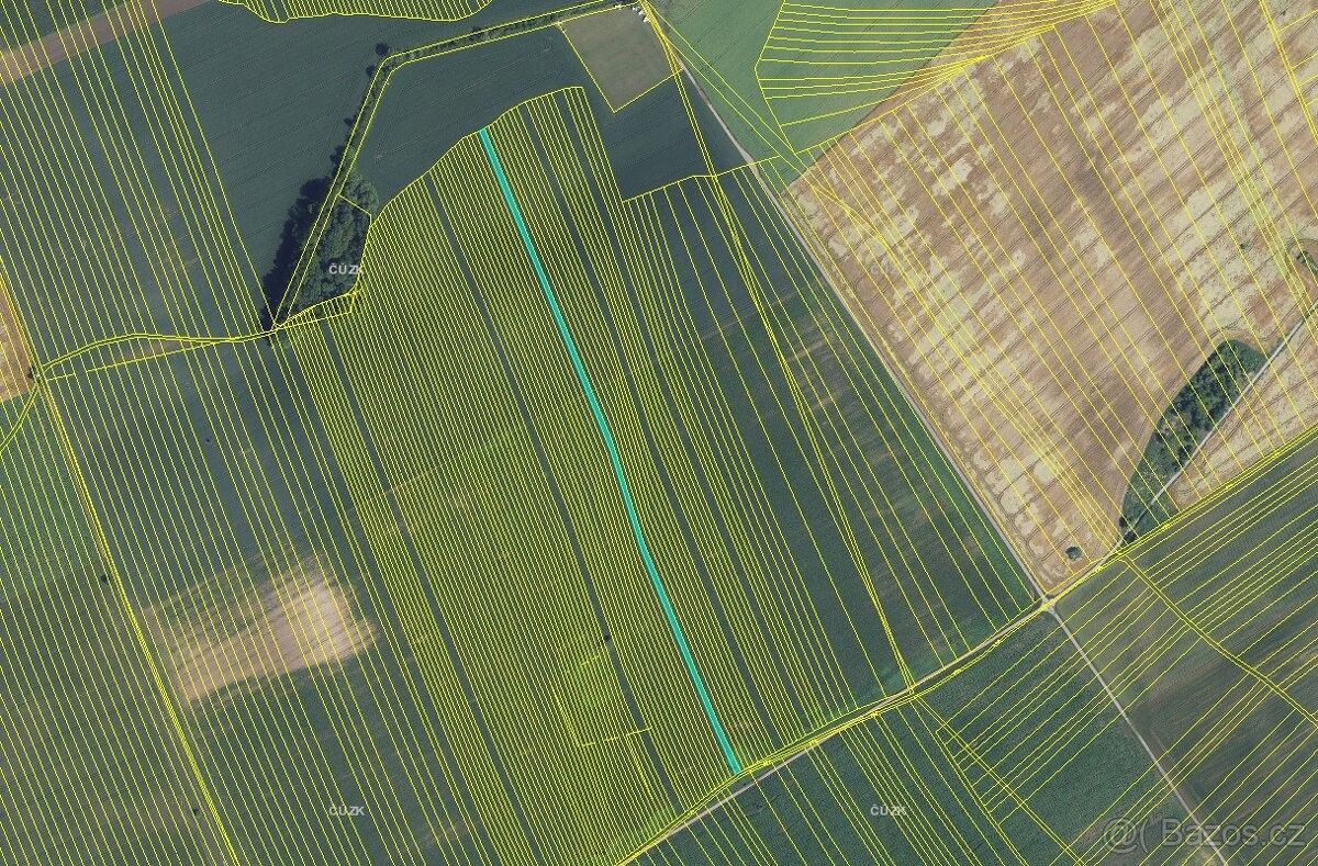 Prodej zemědělský pozemek - Dolní Bojanovice, 696 17, 5 090 m²