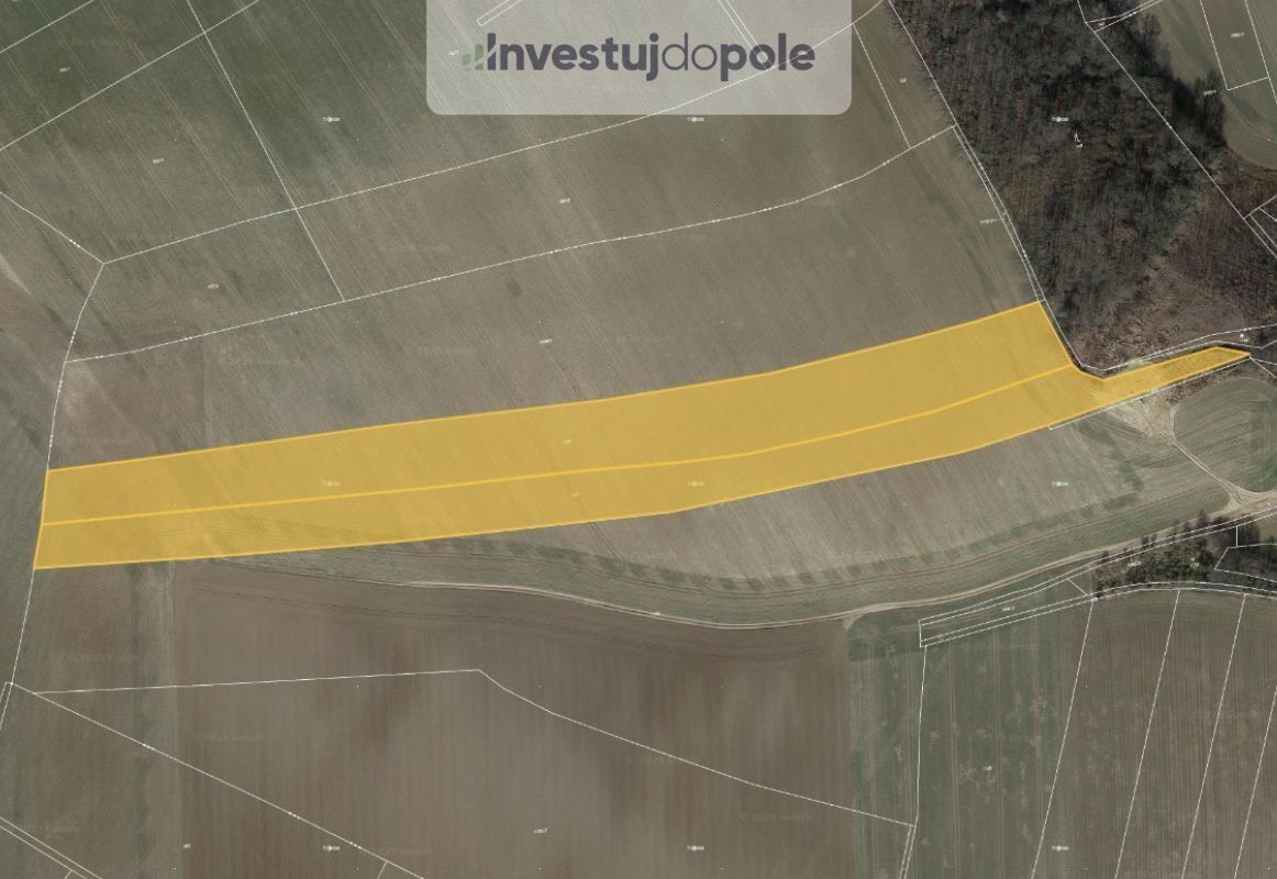 Prodej zemědělský pozemek - Drahobuz, 3 091 m²