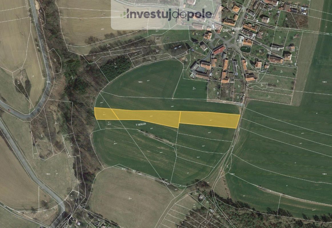 Zemědělské pozemky, Dolní Pohleď, 8 064 m²