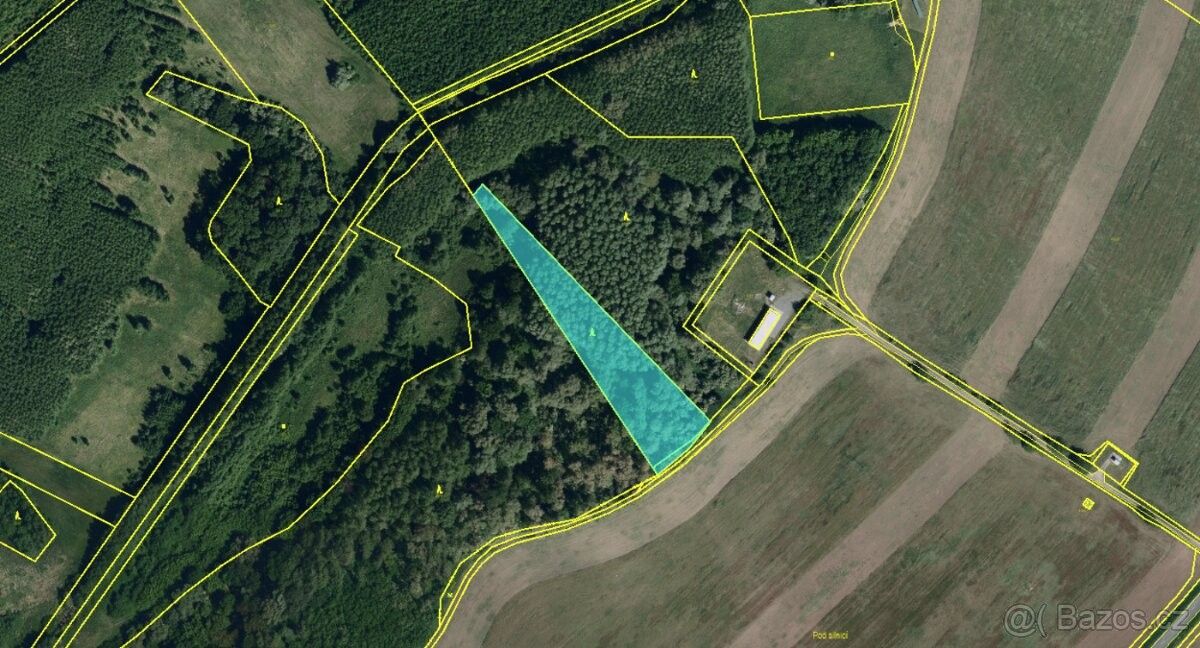 Prodej les - Březí u Mikulova, 691 81, 4 945 m²