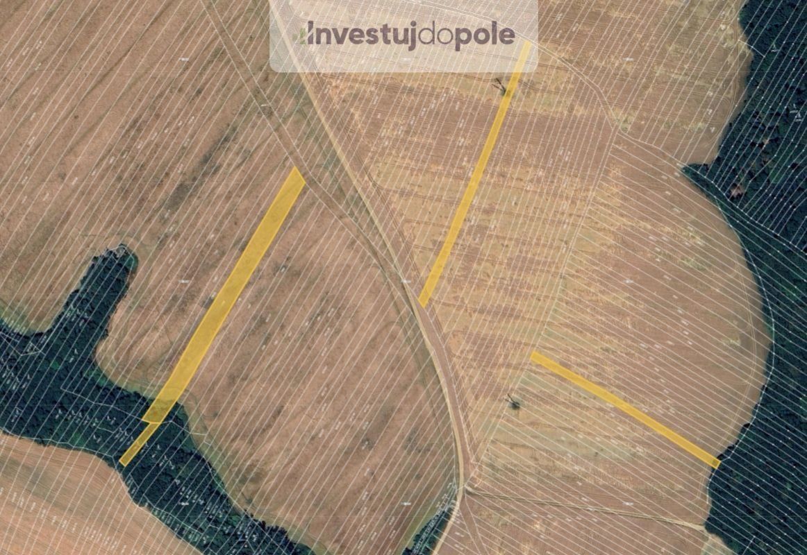 Zemědělské pozemky, Mistřice, 3 272 m²