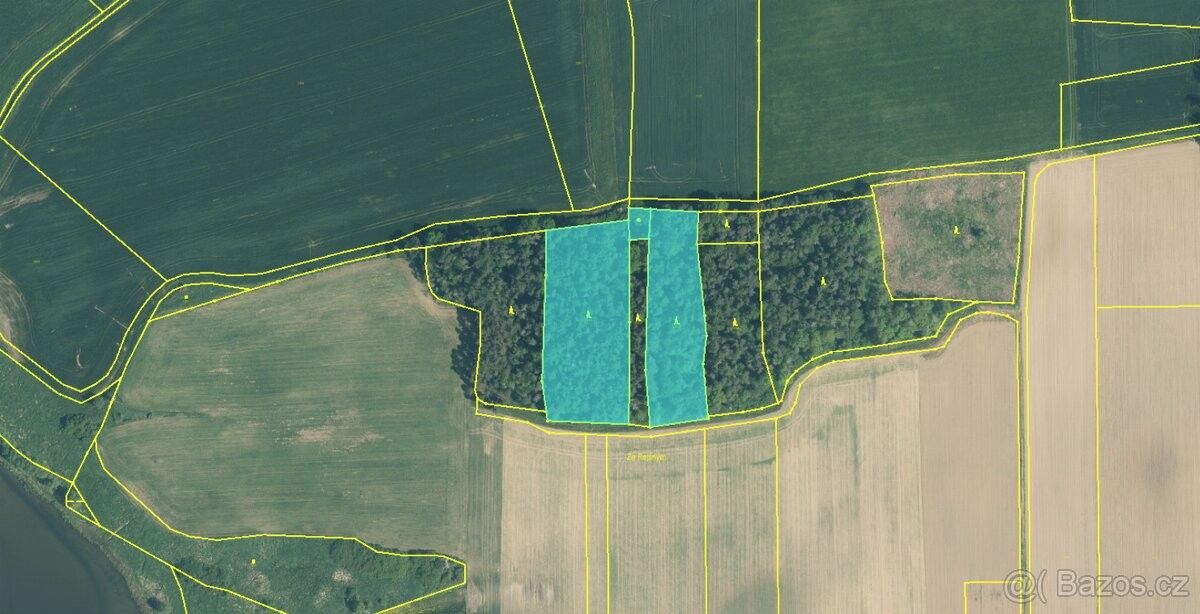 Lesy, Čimelice, 398 04, 4 461 m²