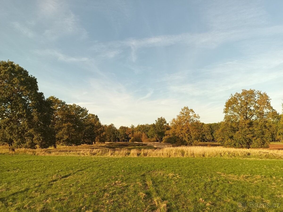 Zahrady, Hluboká nad Vltavou, 373 41, 11 644 m²