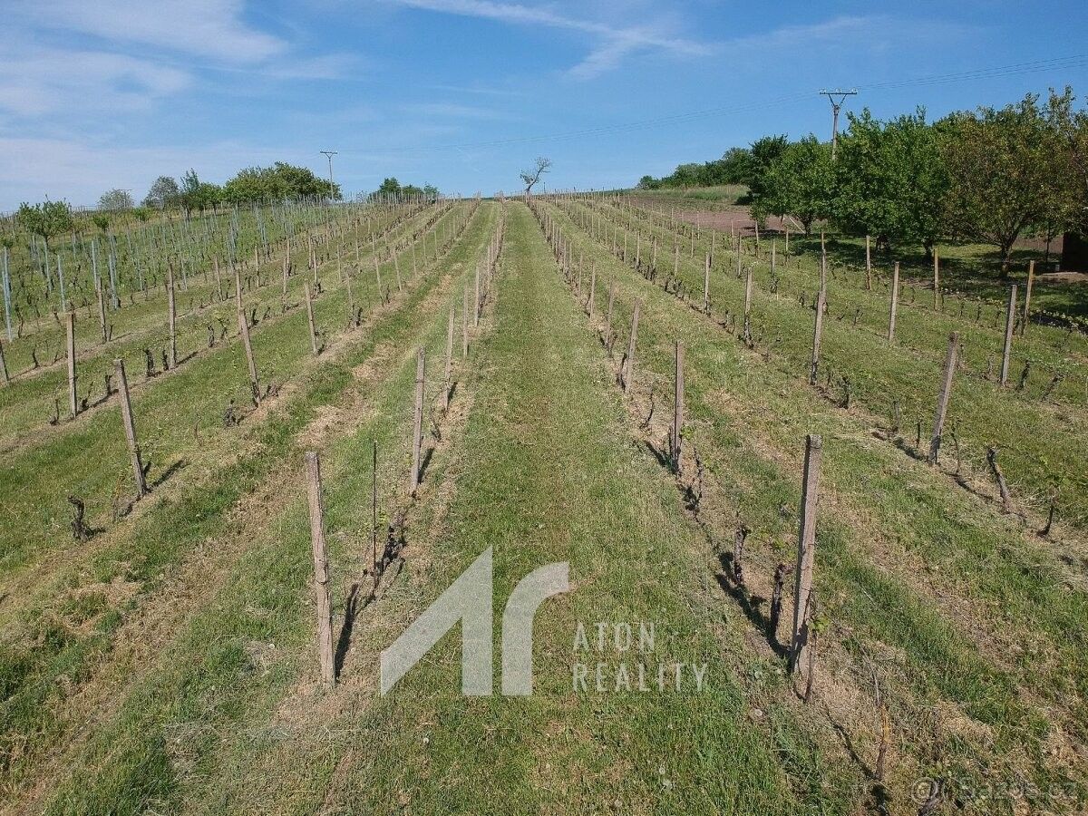 Ostatní, Křepice u Hustopečí, 691 65, 4 085 m²