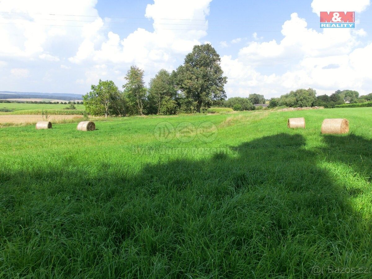 Prodej pozemek - Radenín, 391 20, 3 885 m²