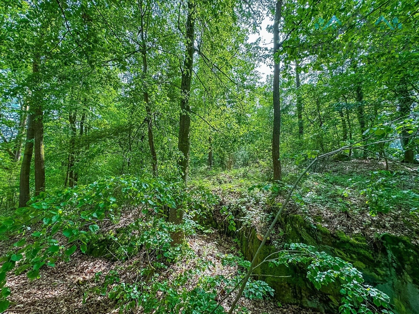 Prodej zemědělský pozemek - Chlum u Třeboně, 62 775 m²