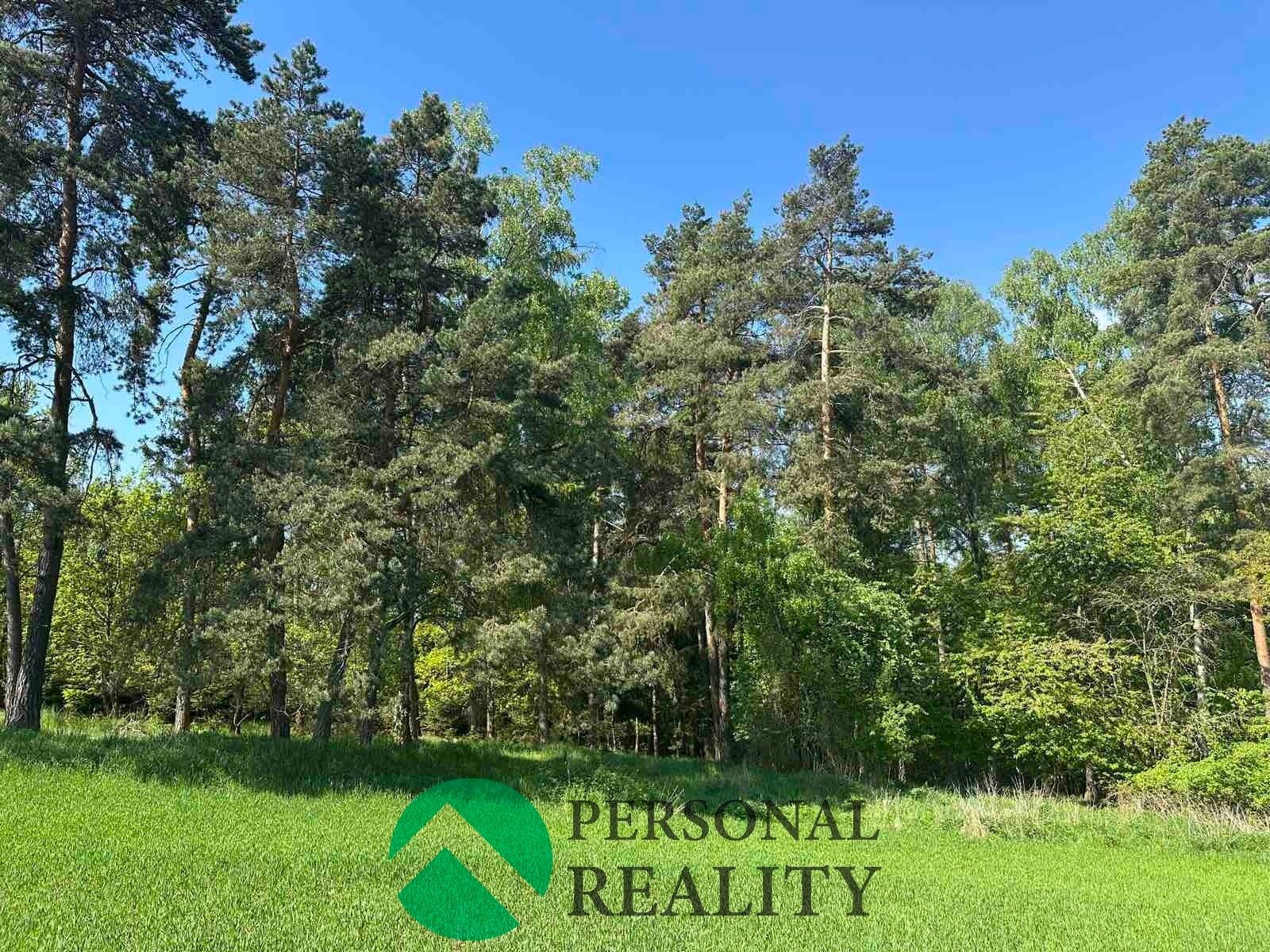 Lesy, Krakov, 3 934 m²