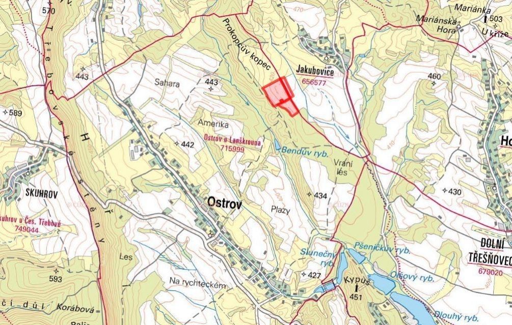 Prodej zemědělský pozemek - Ostrov u Lanškrouna, 561 22