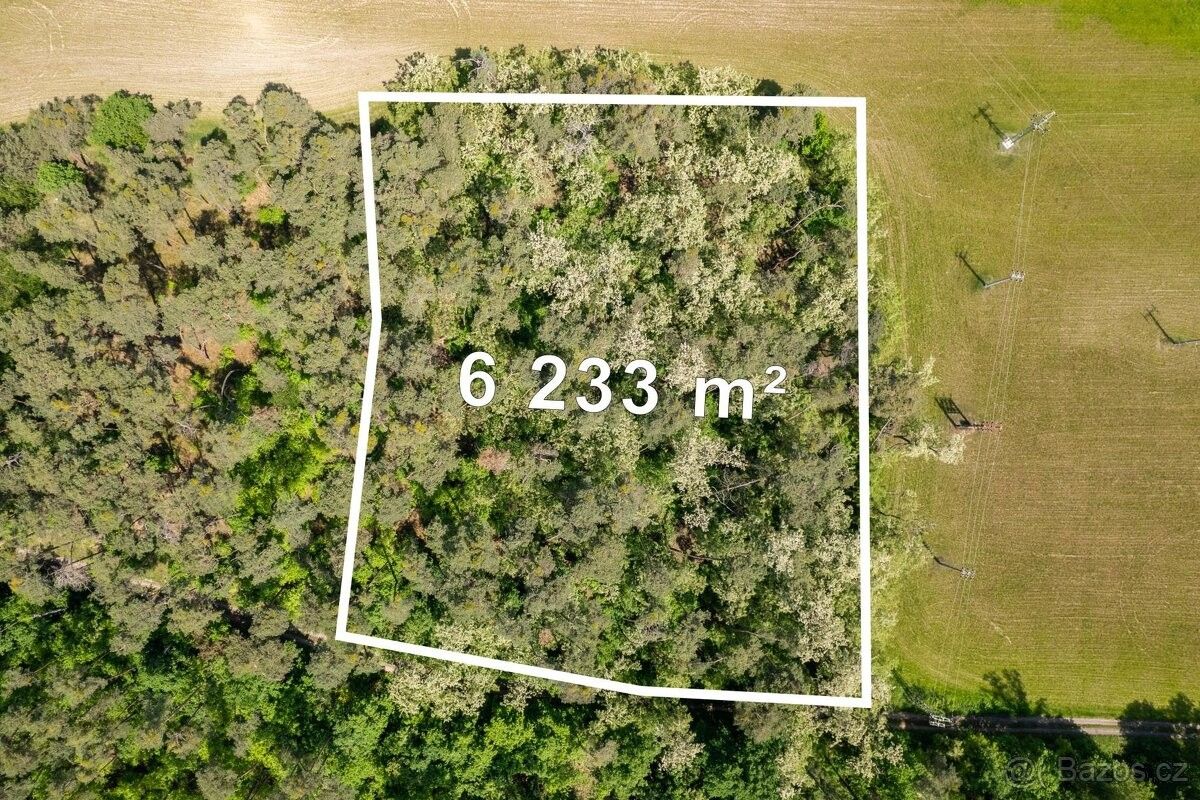 Prodej zemědělský pozemek - Kostelní Hlavno, 294 76, 6 233 m²