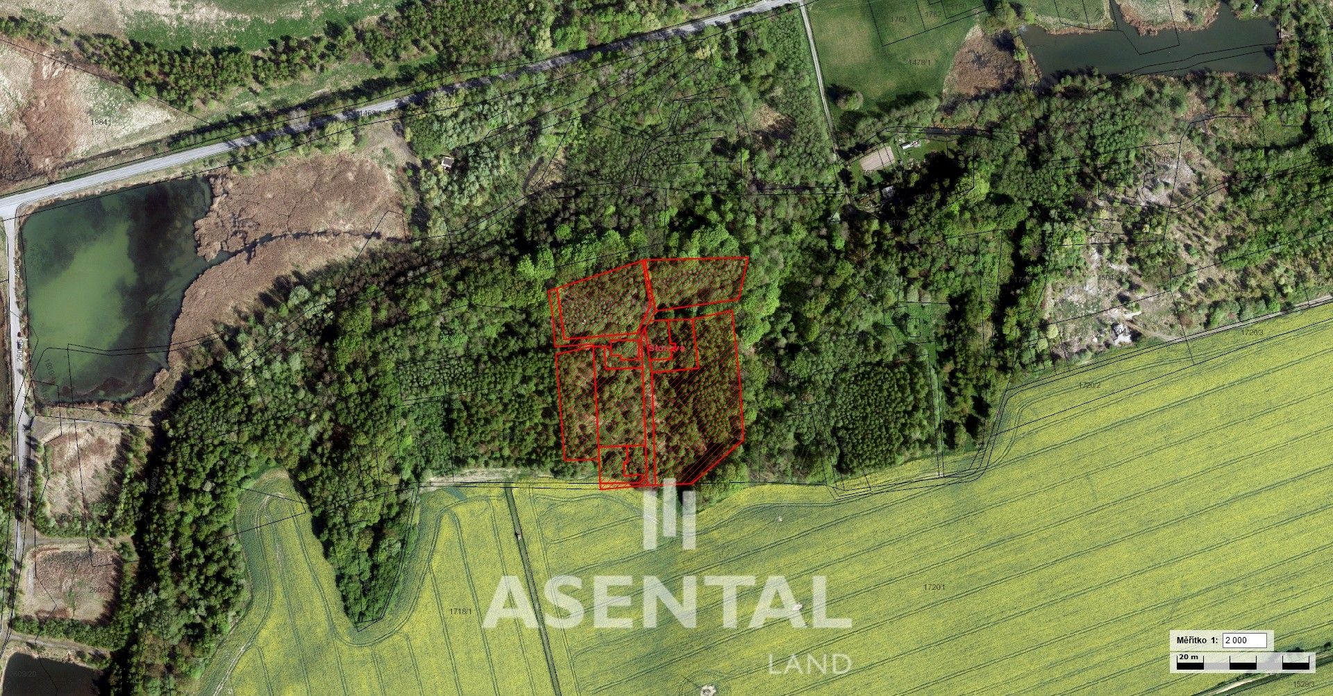 Lesy, Stonava, 21 432 m²