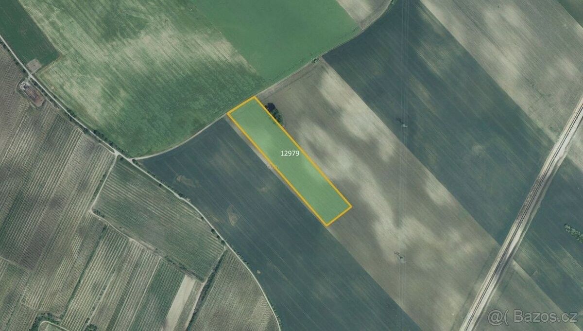 Zemědělské pozemky, Mutěnice, 696 11