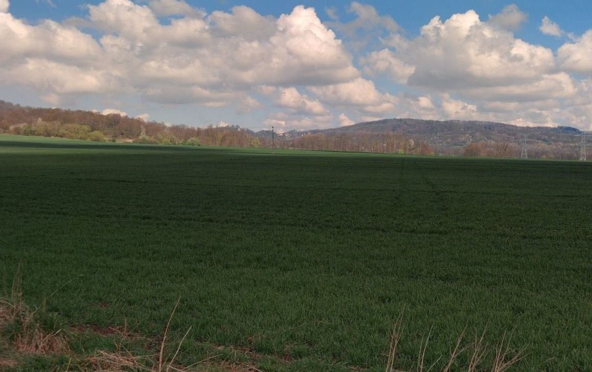 Zemědělské pozemky, Snědovice, 5 445 m²