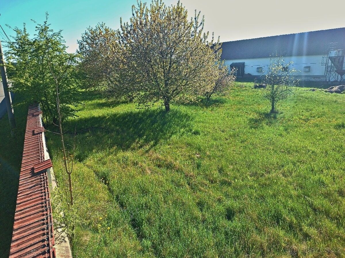 Prodej les - Obořiště, 262 12, 1 026 m²