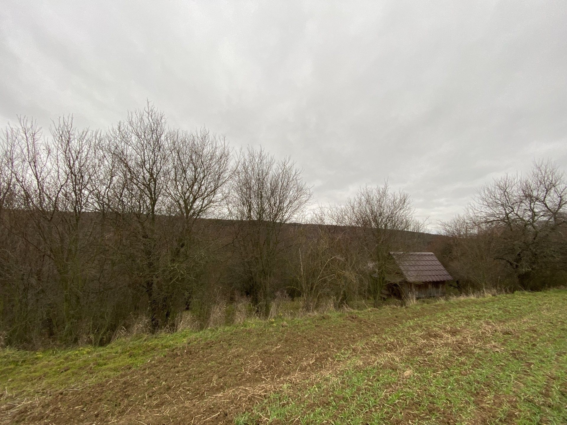 Lesy, Šarovy, 11 619 m²