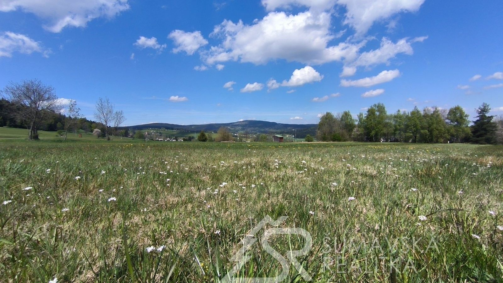 Prodej pozemek pro bydlení - Říhov, Stachy, 27 430 m²