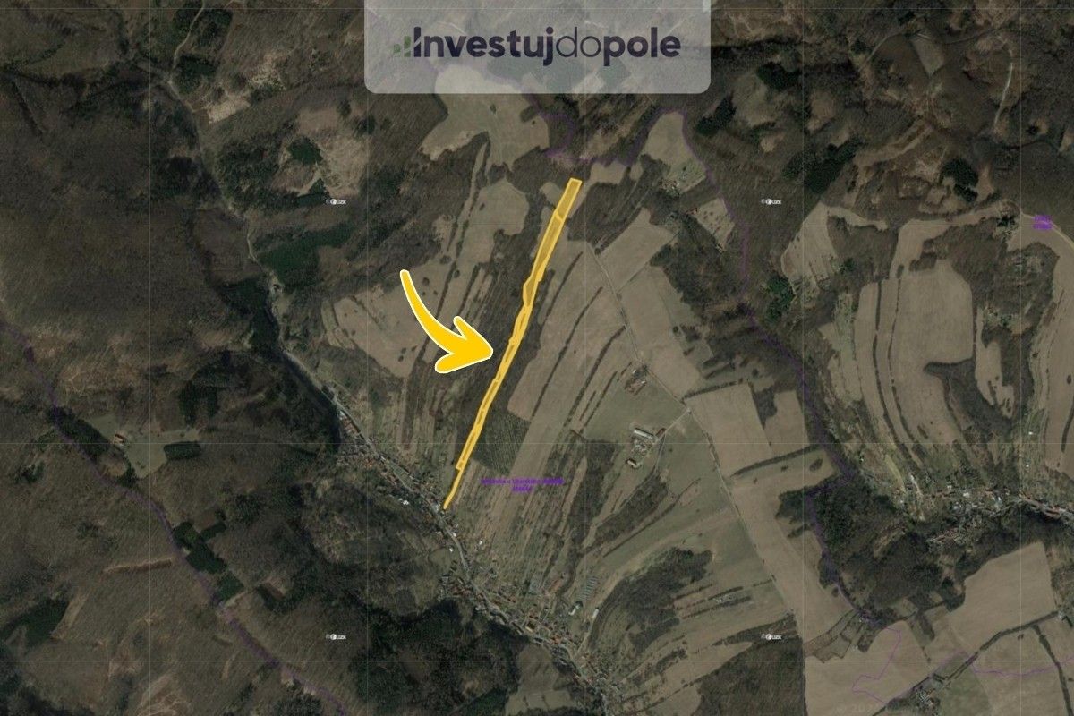 Prodej louka - Jankovice, 11 496 m²