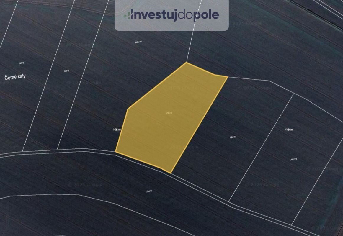 Zemědělské pozemky, Bítouchov, 8 228 m²