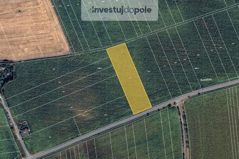 Prodej zemědělský pozemek - Milotice u Kyjova, 696 05, 15 874 m²