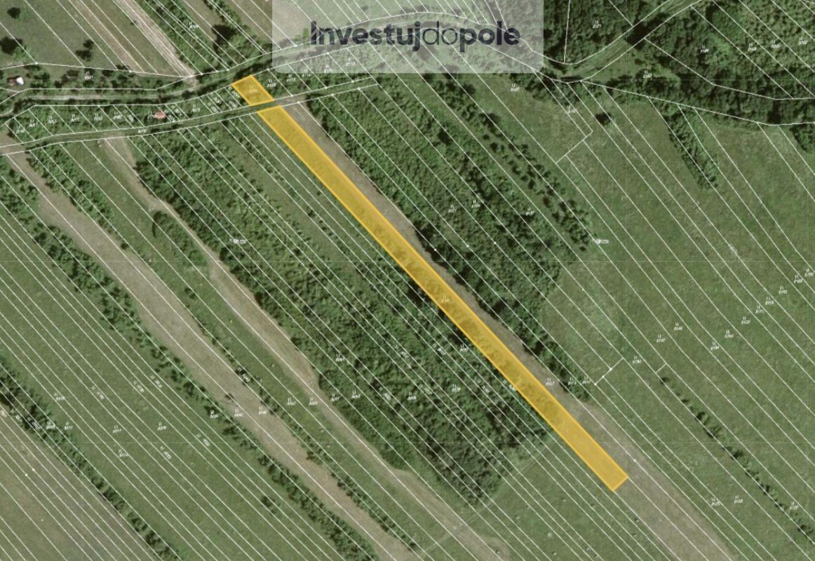 Louky, Javorník, 1 172 m²
