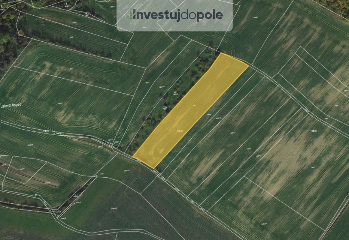 Zemědělské pozemky, Pavlice, 8 074 m²