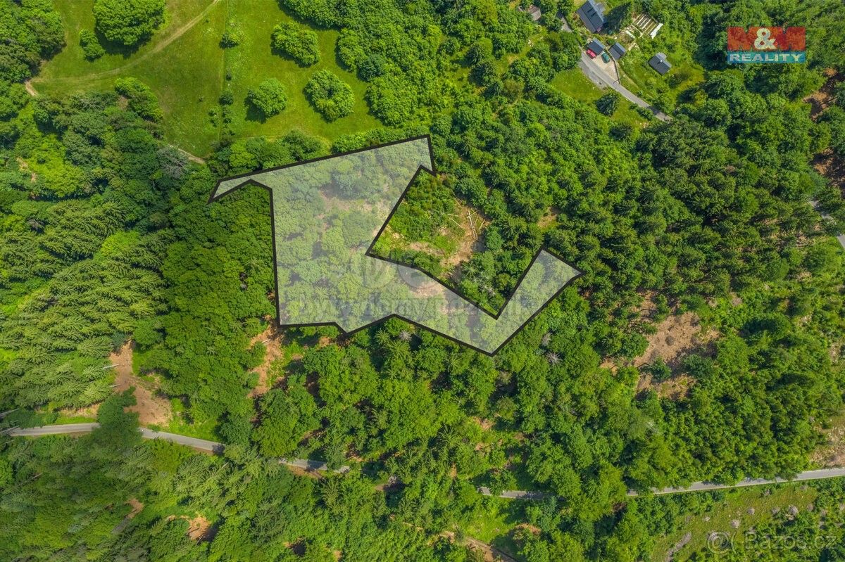 Prodej les - Tanvald, 468 41, 6 085 m²
