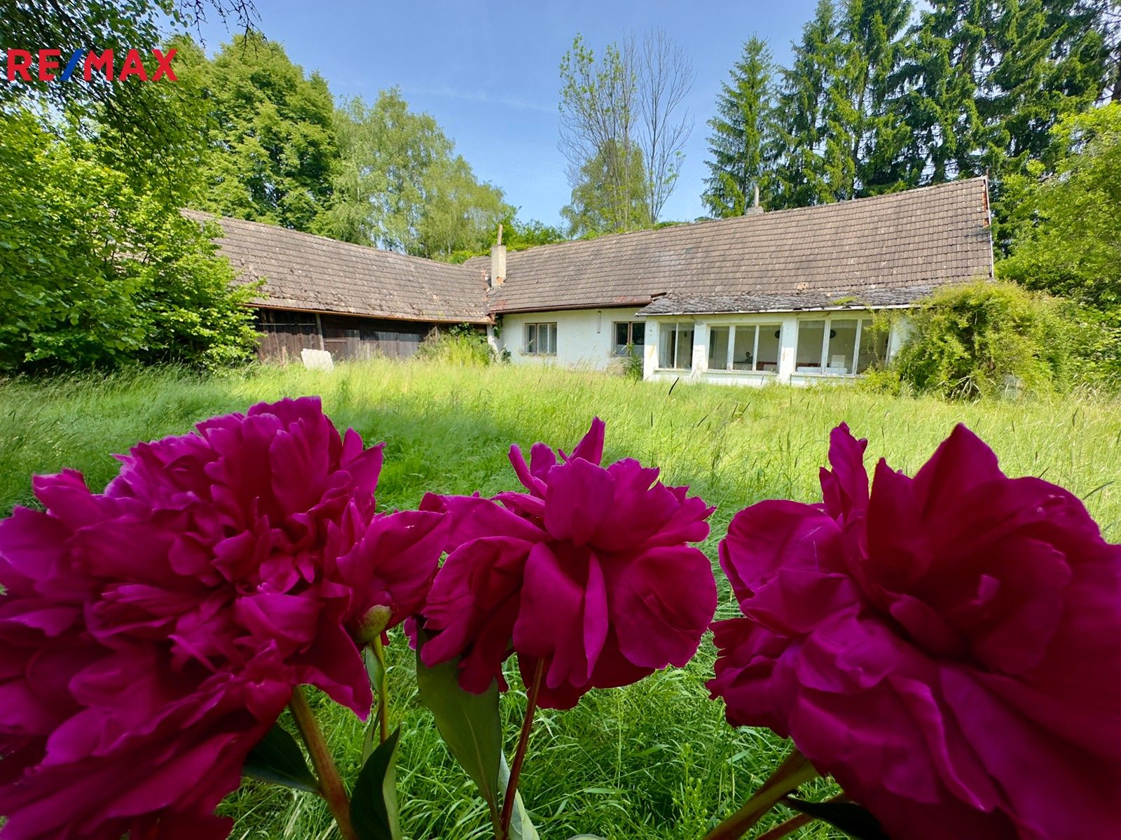 Ostatní, Nová Ves nad Lužnicí, 100 m²
