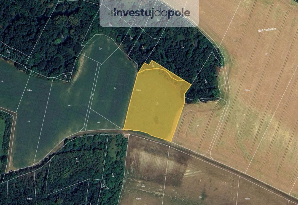 Louky, Strážnice, Vysoká, 10 931 m²