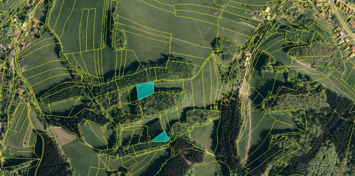 Lesy, Valašská Polanka, 756 11, 2 640 m²
