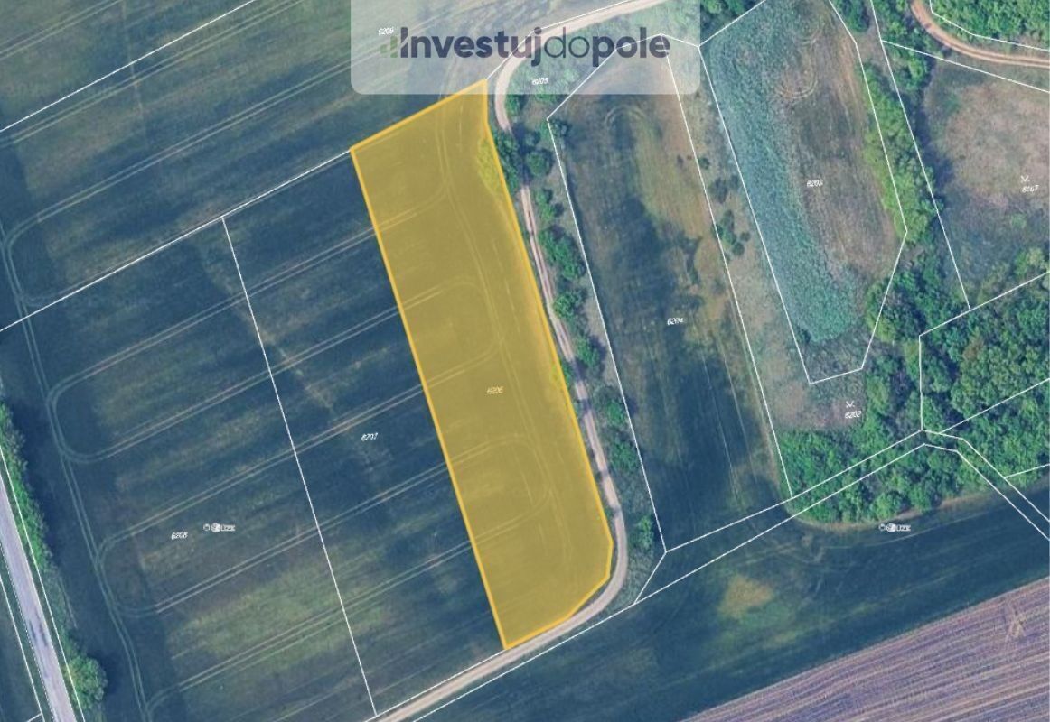 Zemědělské pozemky, Medlov, 6 139 m²