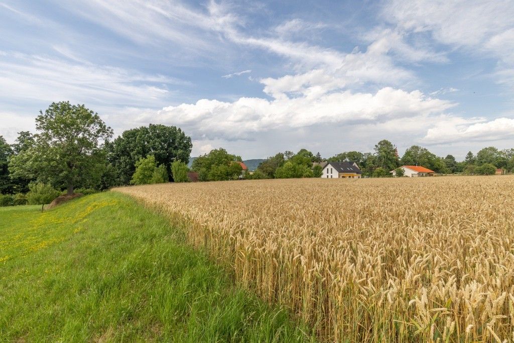 Prodej pozemek pro bydlení - Odry, 742 35, 1 790 m²