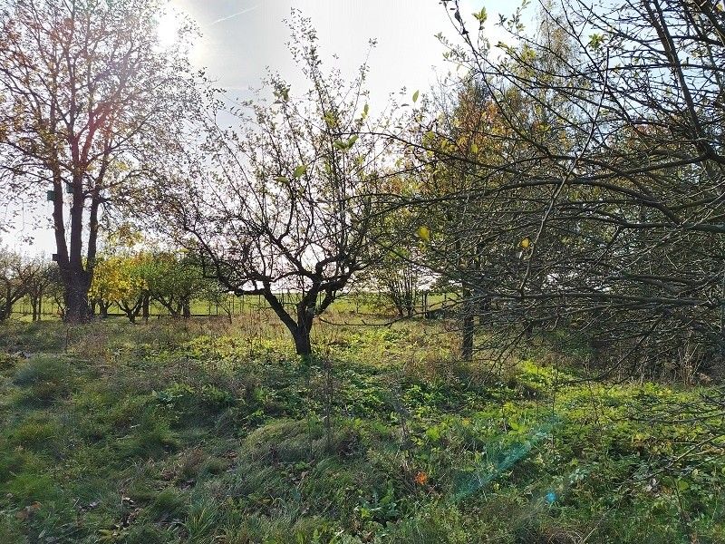 Ostatní, Loukov u Mnichova Hradiště, 294 11, 907 m²
