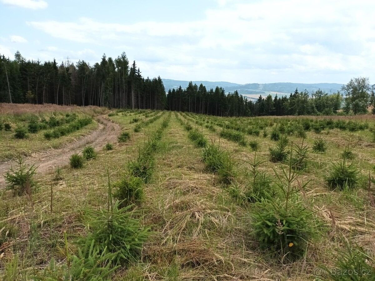 Lesy, Městečko Trnávka, 569 41, 38 392 m²