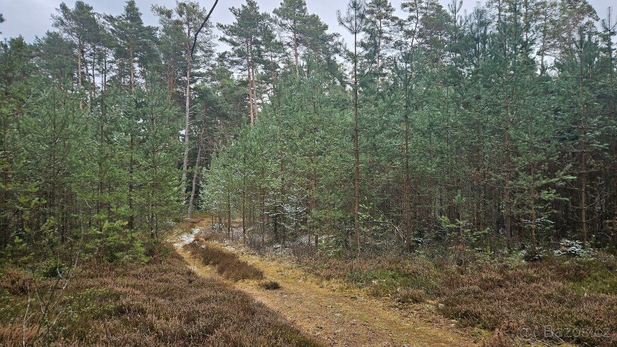 Lesy, Třeboň, 379 01, 32 388 m²