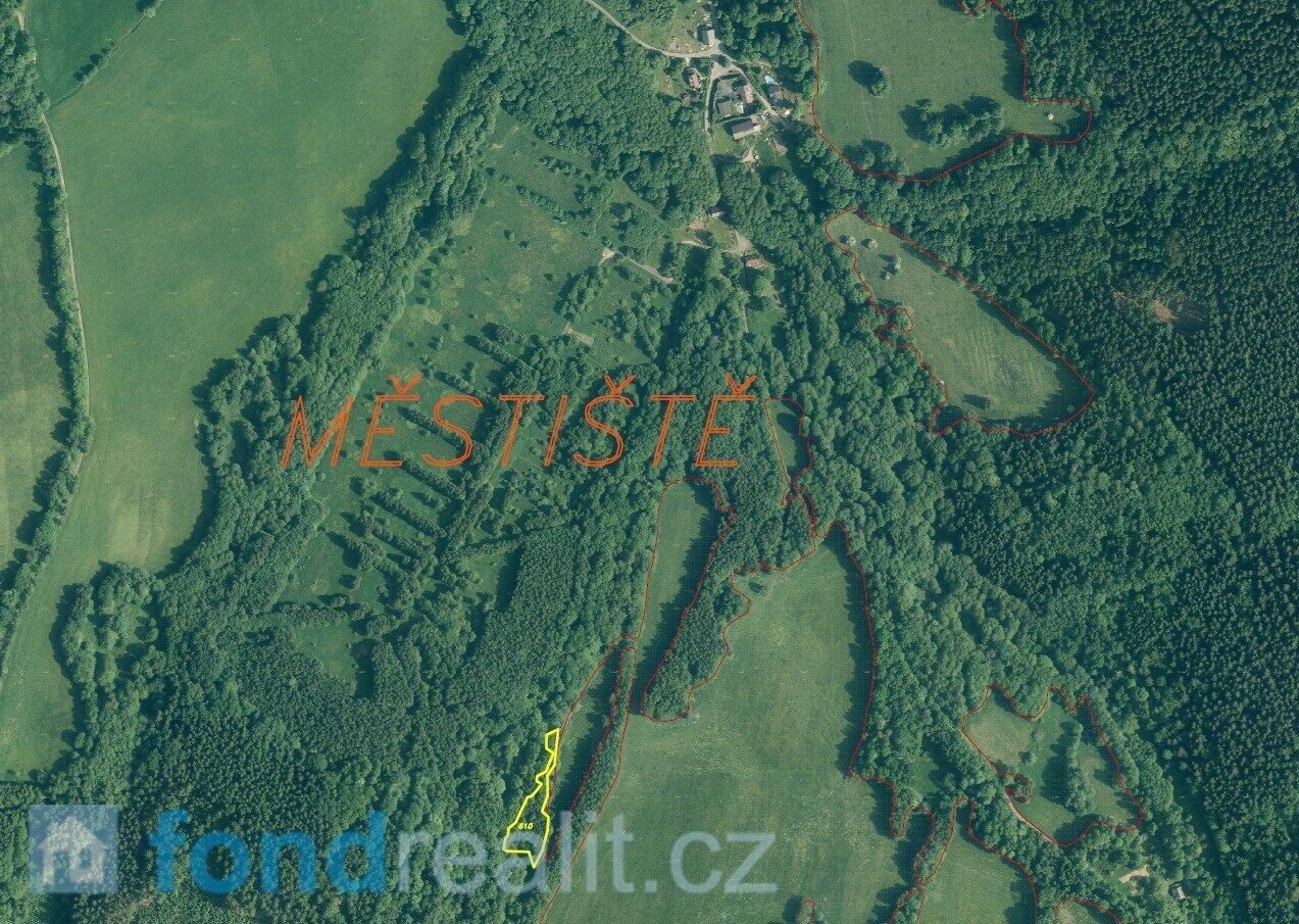 Prodej zemědělský pozemek - Dešenice, 2 427 m²