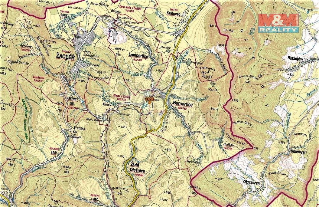 Prodej zemědělský pozemek - Bernartice u Trutnova, 542 04, 4 370 m²