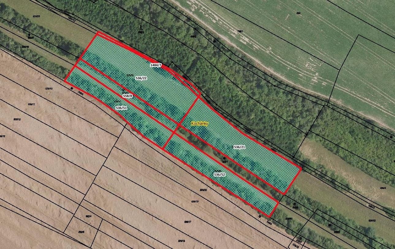 Zemědělské pozemky, Kochánky, 10 351 m²