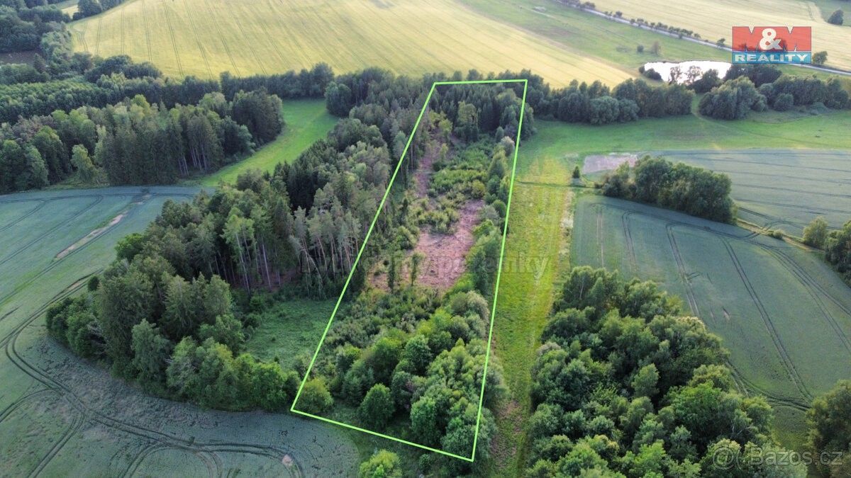 Prodej les - Pelhřimov, 393 01, 17 153 m²