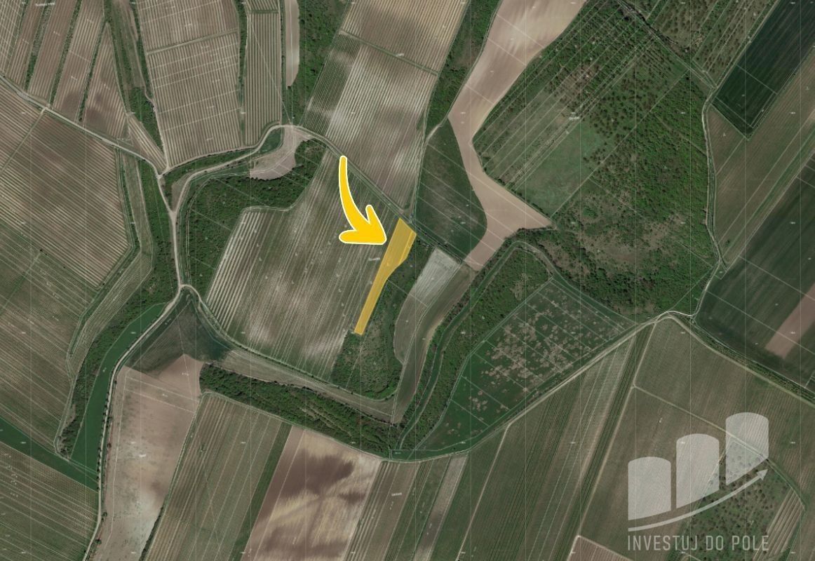 Prodej pozemek - Popice, 5 208 m²