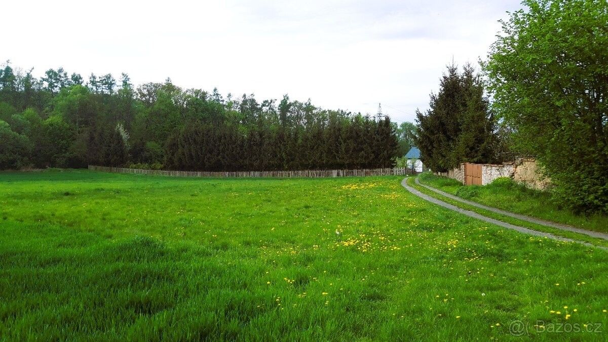Prodej pozemek pro bydlení - Úsov, 789 73, 1 905 m²