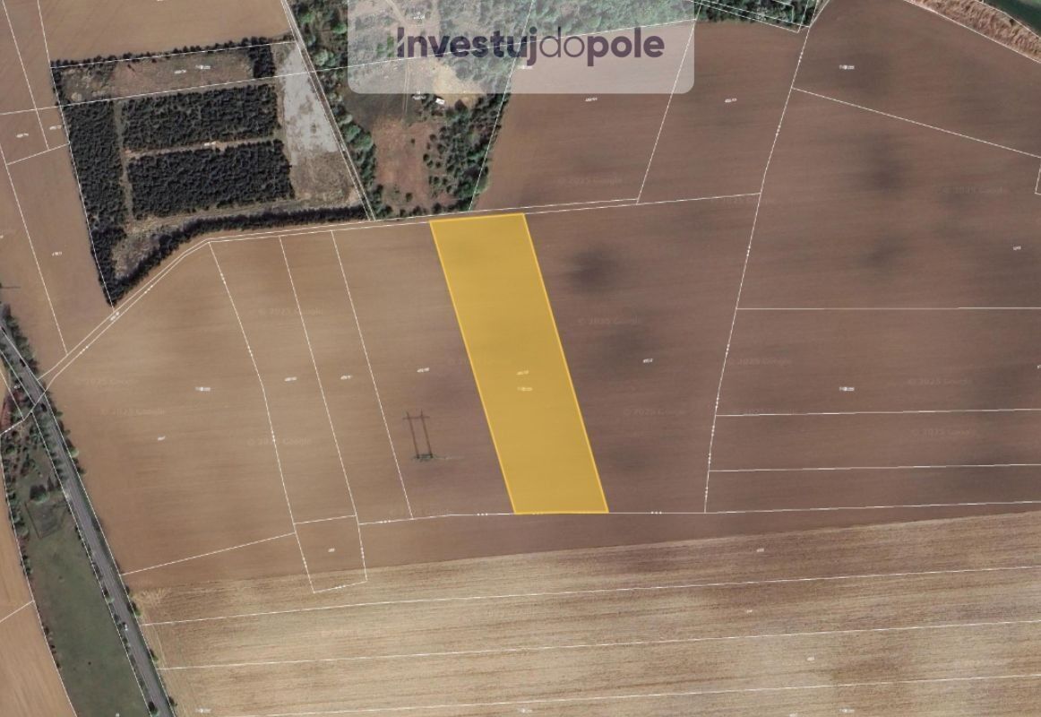 Zemědělské pozemky, Dolní Břežany, 10 394 m²