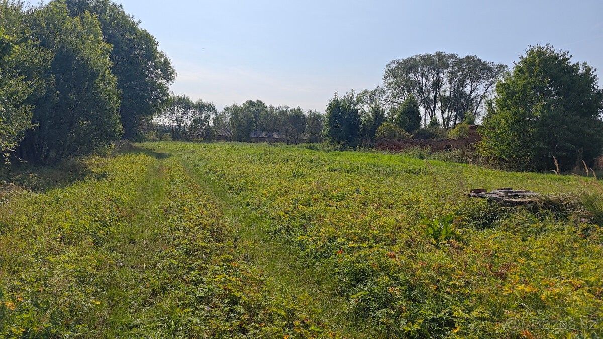 Prodej pozemek pro bydlení - Sudice, 747 25, 3 947 m²
