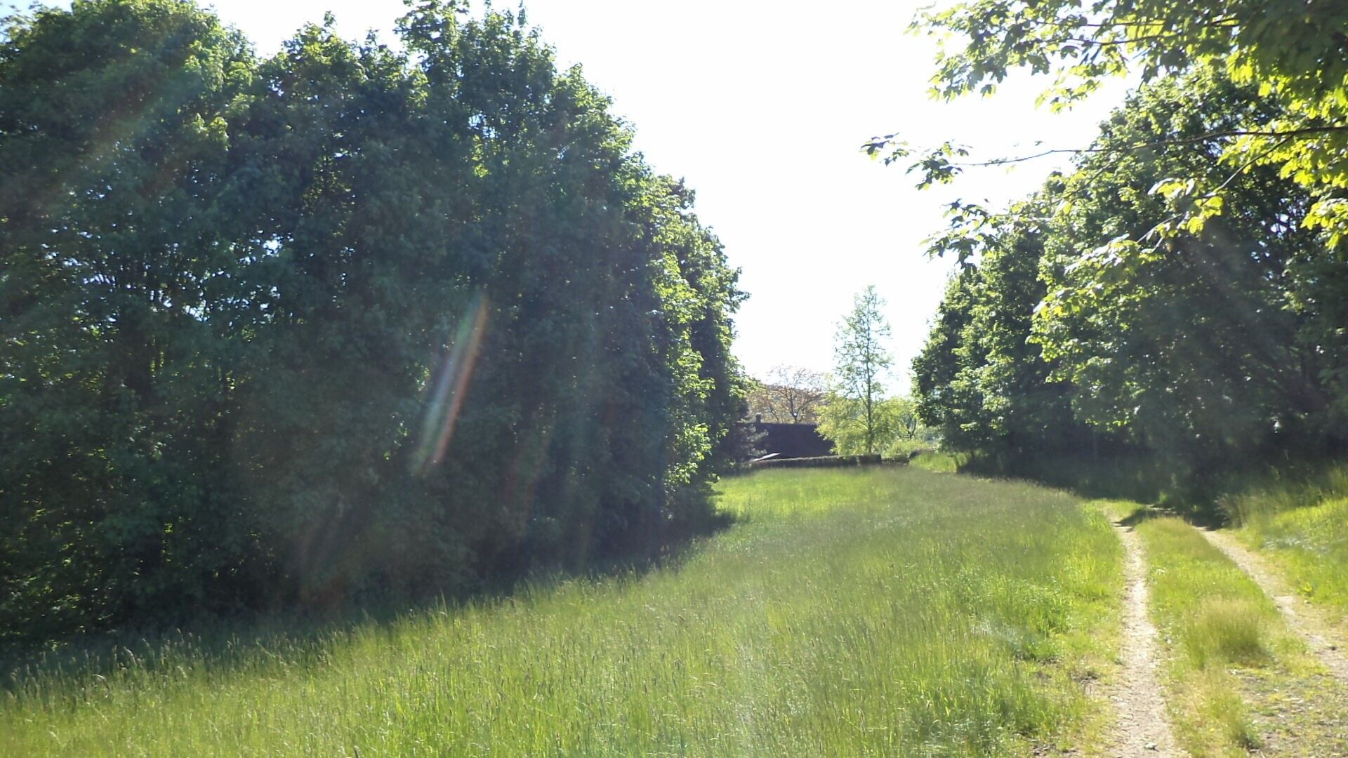 Pozemky pro bydlení, Staré Křečany, 3 564 m²
