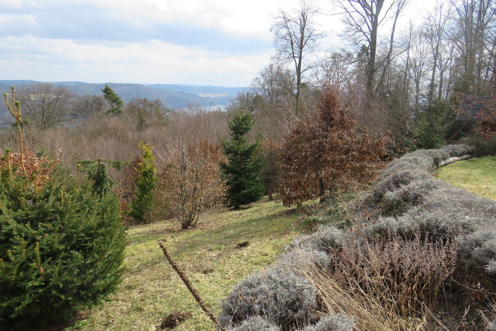 Lesy, Slapy, 4 059 m²