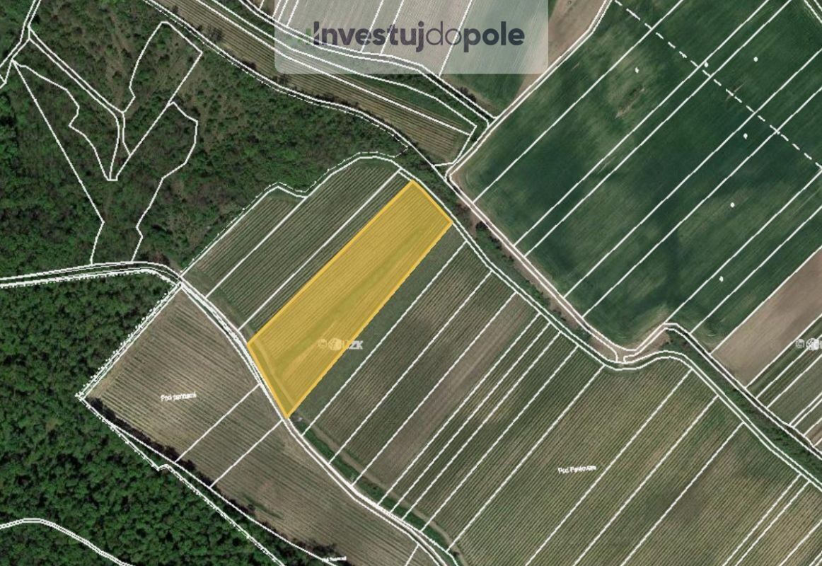 Ostatní, Dolní Věstonice, 1 767 m²