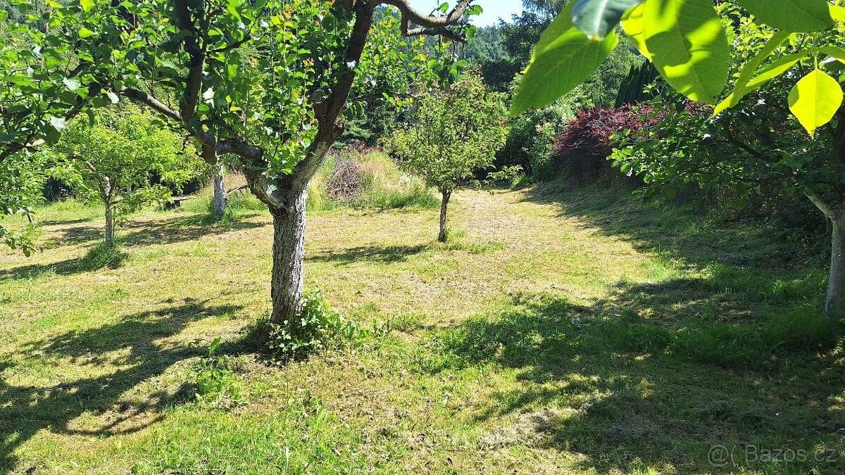 Prodej zahrada - Kynšperk nad Ohří, 357 51, 869 m²