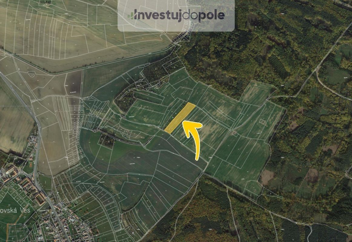 Prodej zemědělský pozemek - Pavlice, 8 074 m²