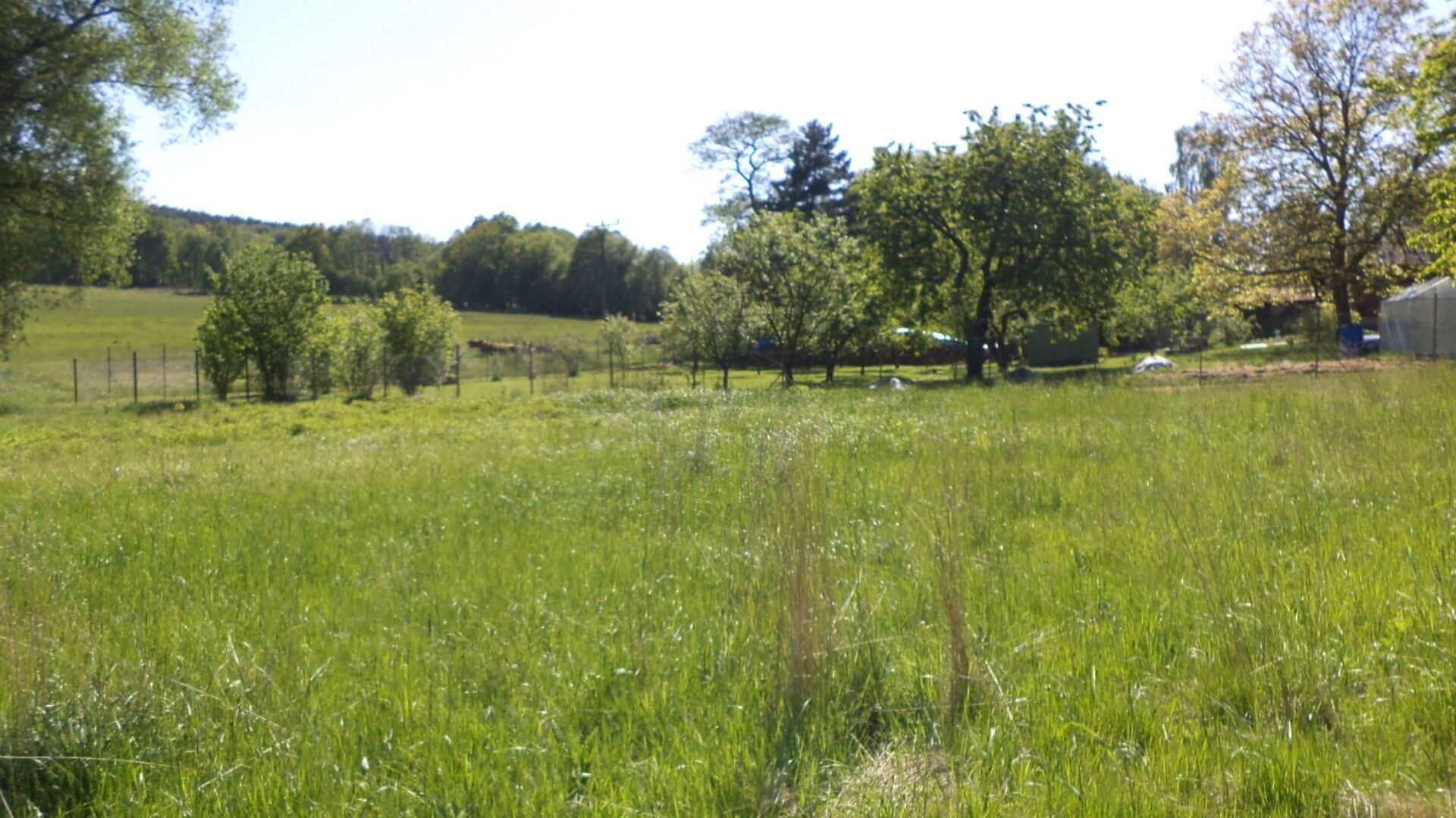 Pozemky pro bydlení, Staré Křečany, 2 931 m²