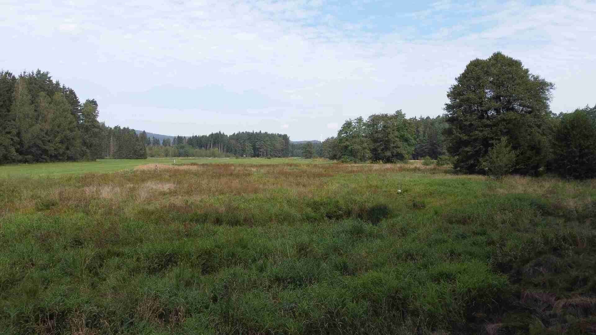 Zemědělské pozemky, Rozvadov, 52 176 m²