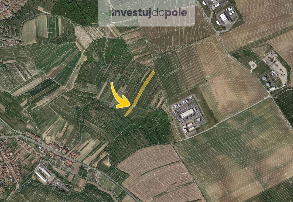 Prodej zemědělský pozemek - Dambořice, 4 046 m²