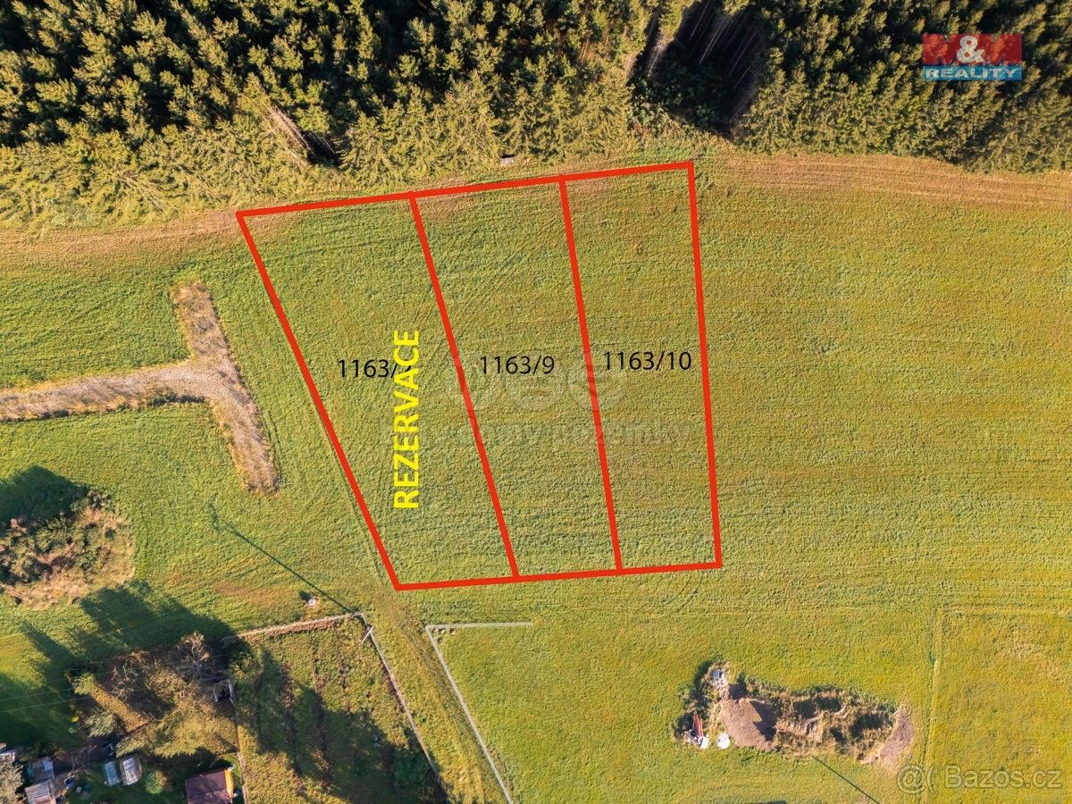 Prodej les - Aš, 352 01, 1 000 m²